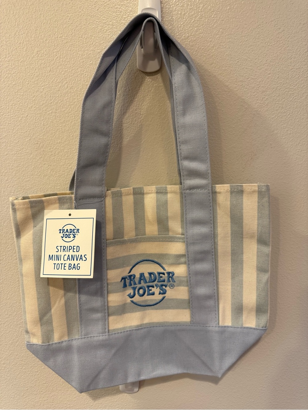 Striped Mini Canvas Tote Bag in Light Blue